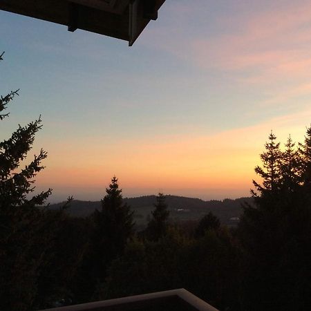 Wellness Apartment Sankt Englmar Luaran gambar